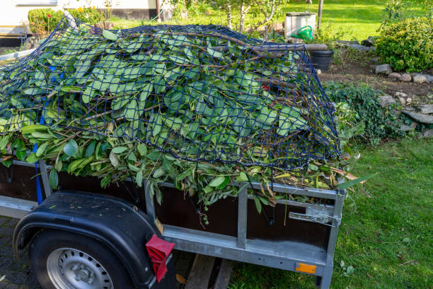 Best Scrap Metal Removal  in Bolivar, OH